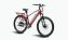 Vélo à assistance électrique Starway Explorer, coloris Gris-Rouge